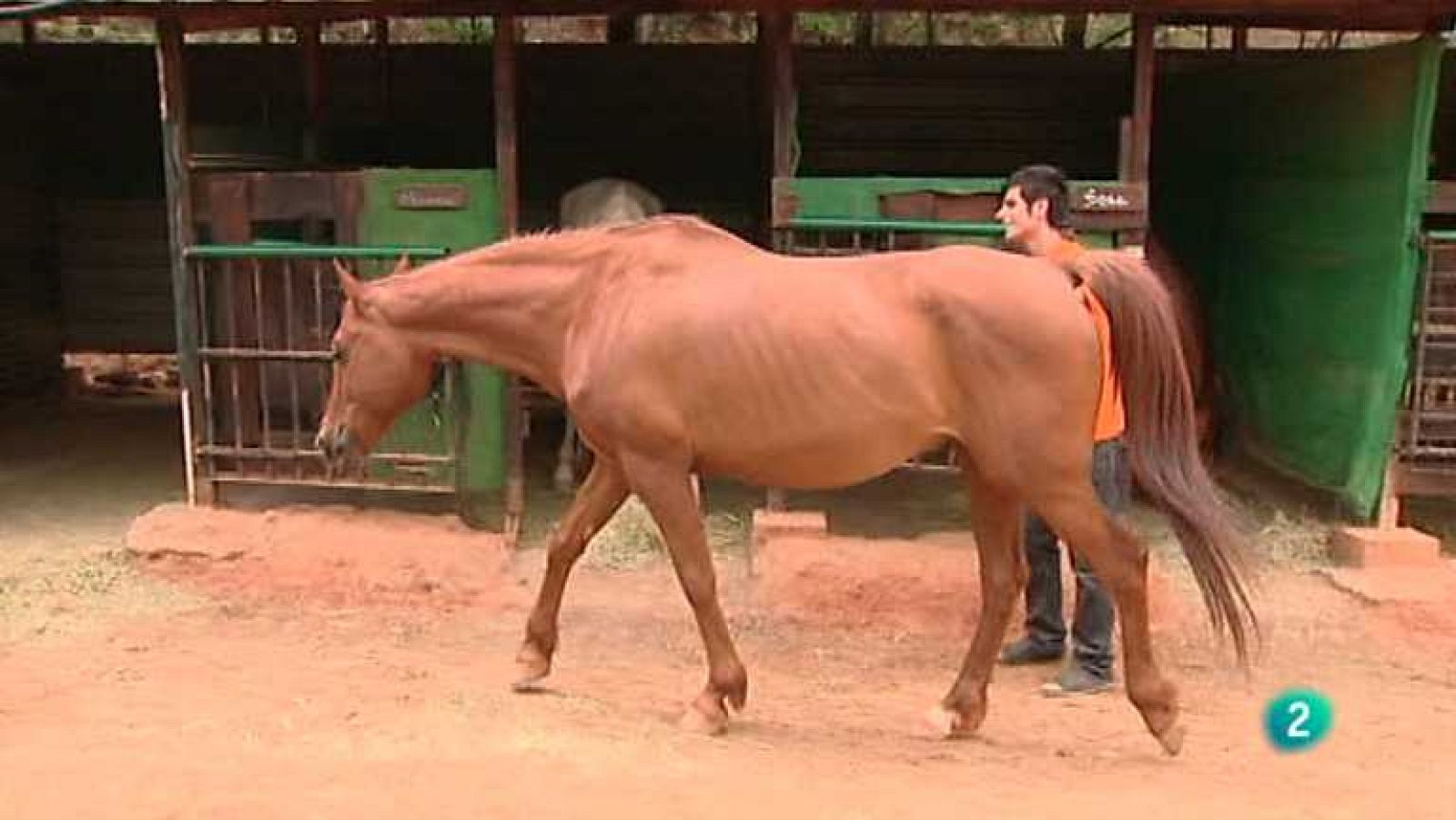 España en Comunidad - 30/08/14 - ver ahora