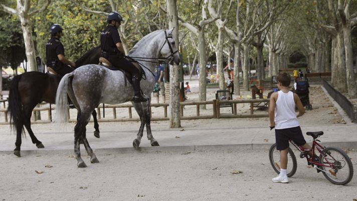 Telediario 1 - Investigación pederasta de Madrid