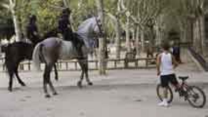 Telediario 1 - Investigación pederasta de Madrid