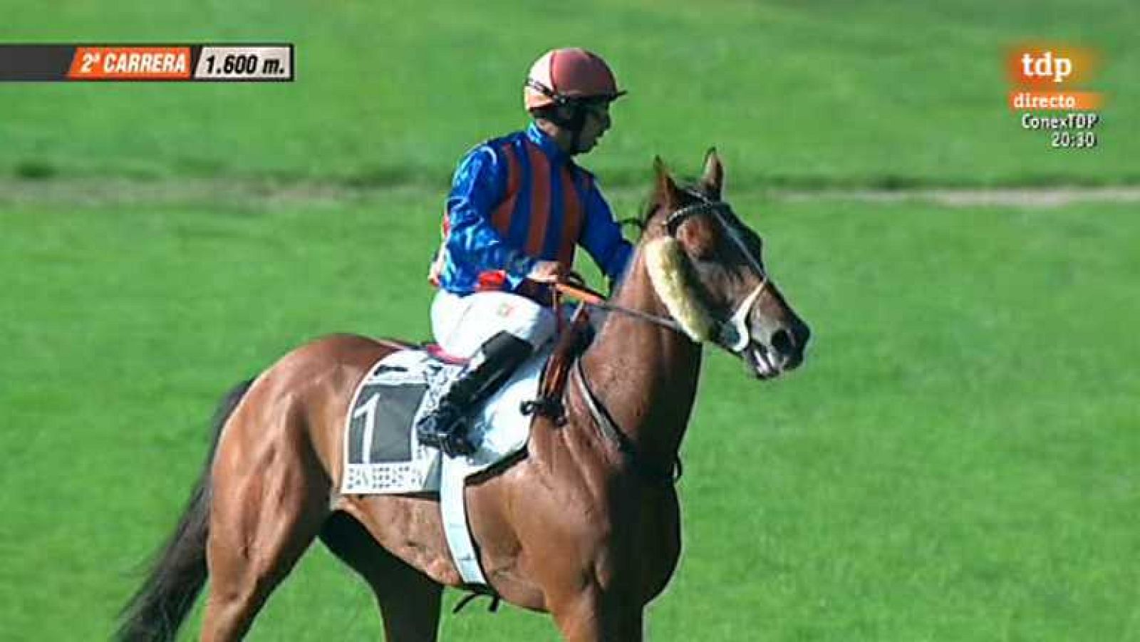 Turf - 01/09/14 - ver ahora