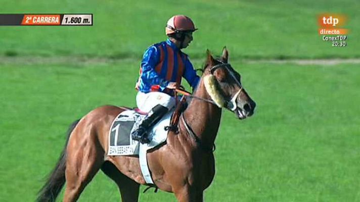 Turf - Turf - 01/09/14