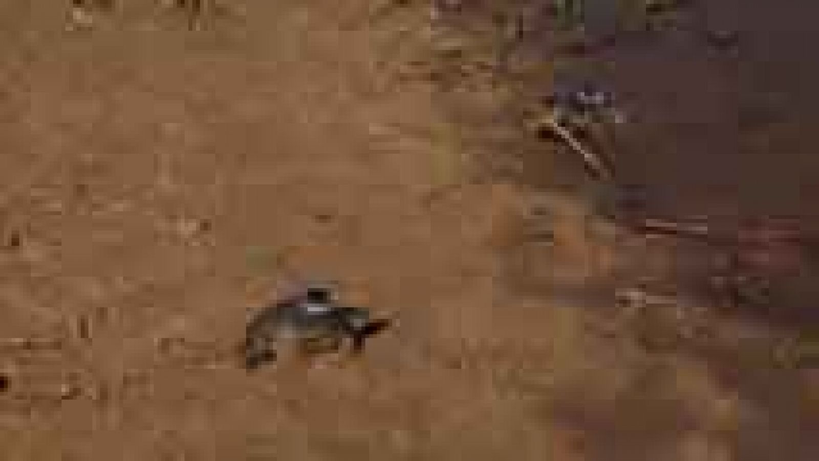 Informativo de Madrid 2 - 02/09/14