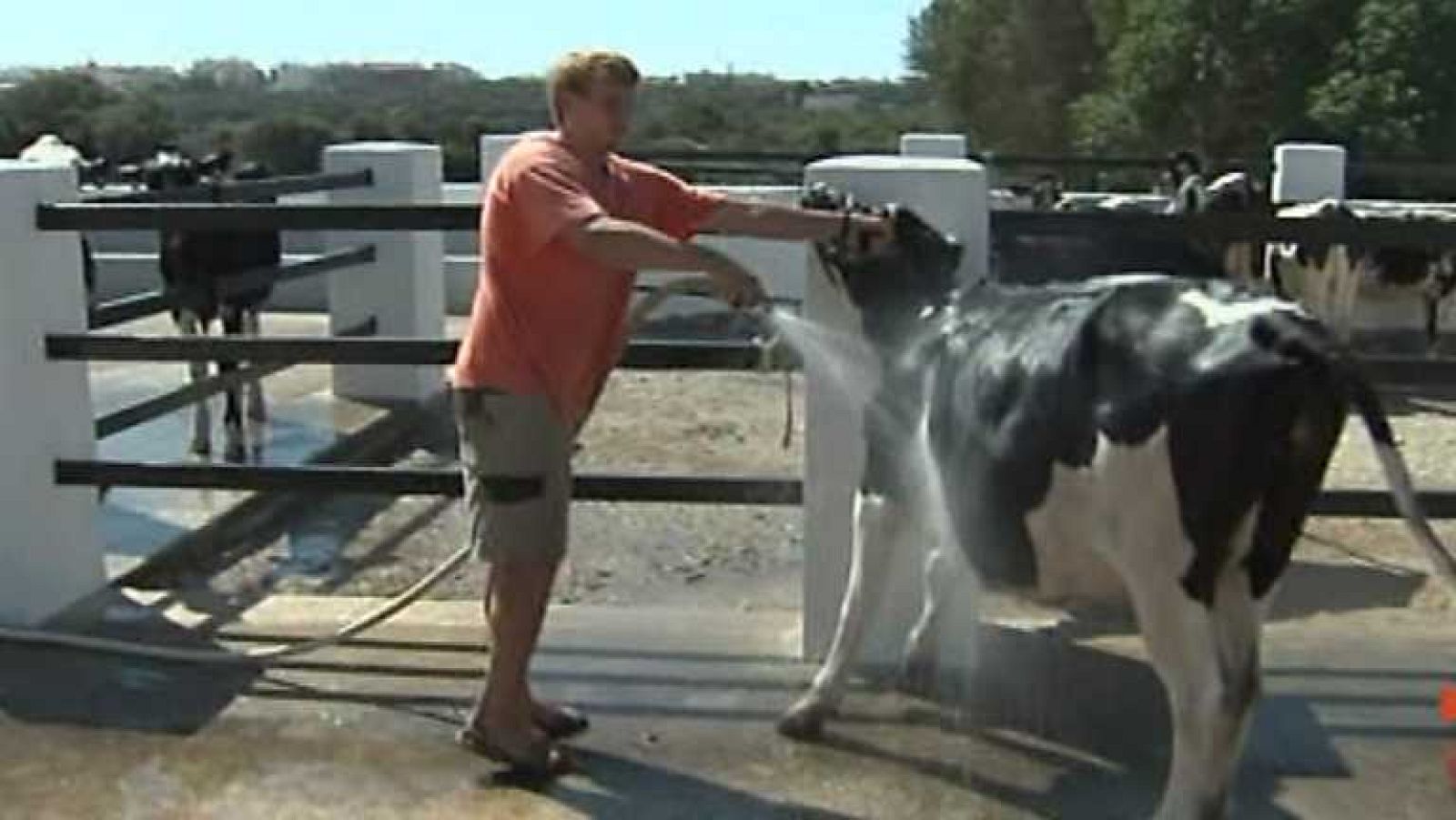 España en 24 horas - 02/09/14 - Ver ahora