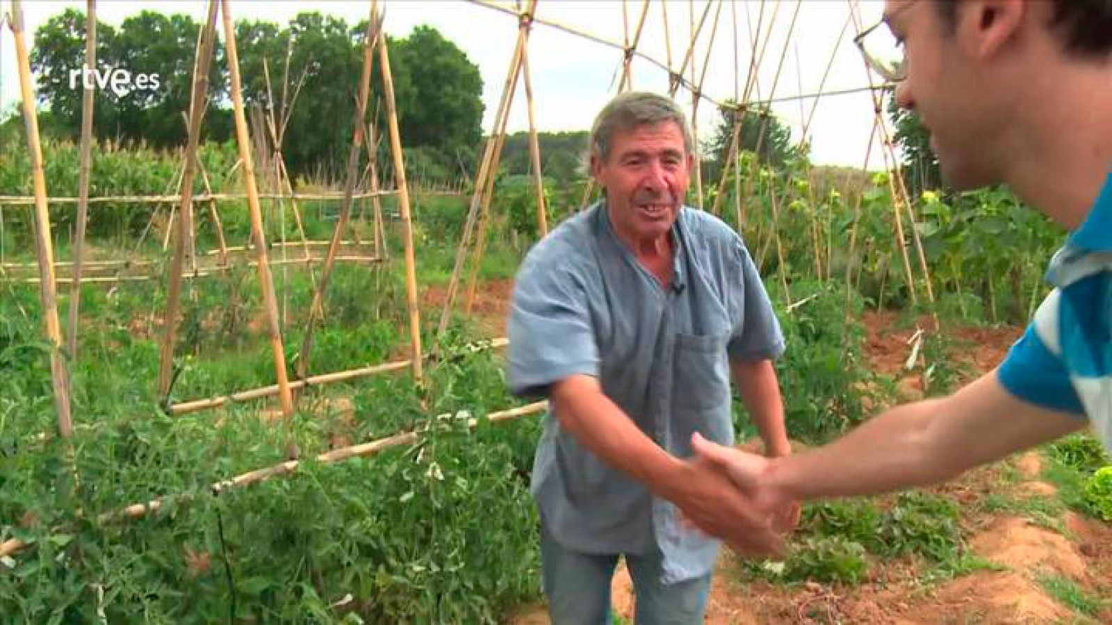 Repor - Pisa la Calle -  Cultivar da sus frutos