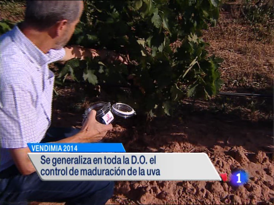 Informativo Telerioja - Informativo Telerioja - 03/09/14