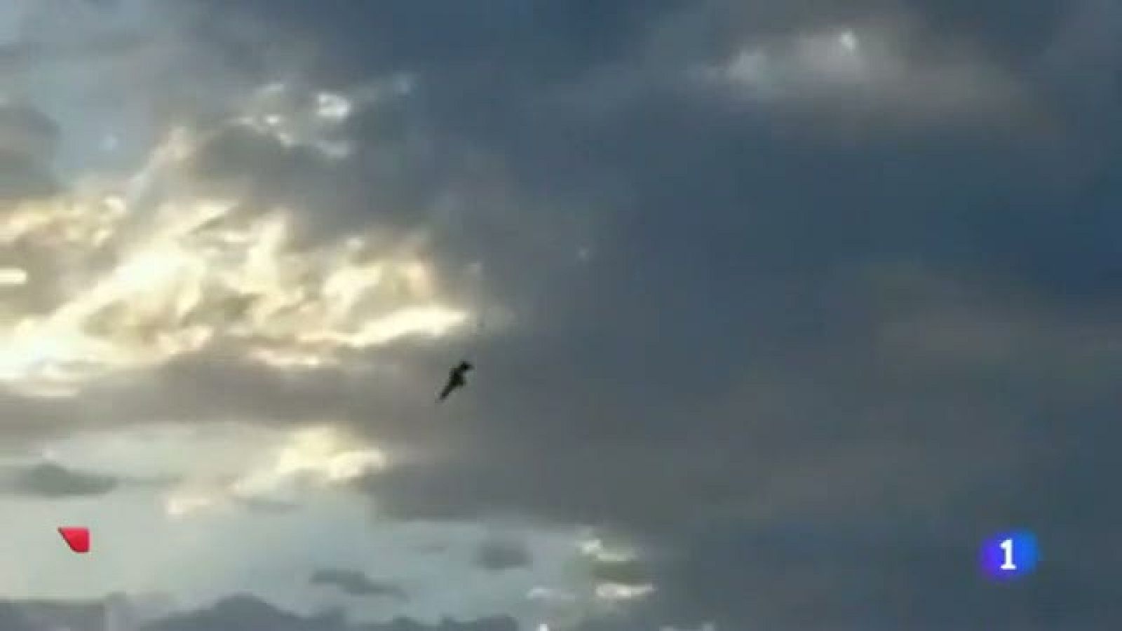 Mueren cuatro niños al estrellarse un avión en una exhibición militar en Libia