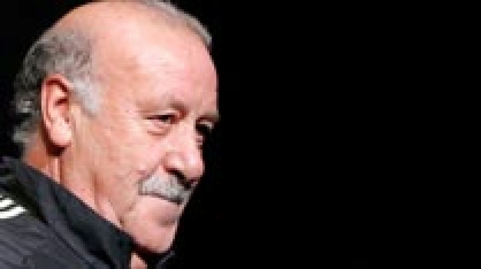 Del Bosque: "Piqué me dijo que no estaba bien, pero sabía que podría jugar"