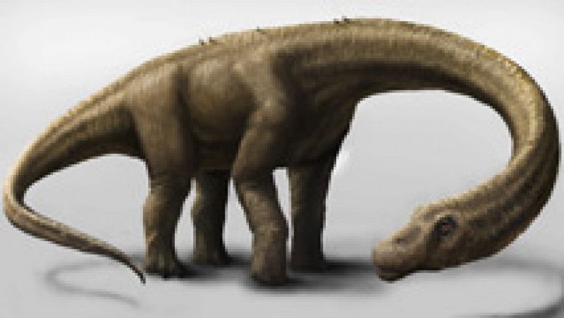 Descubren en la Patagonia el dinosaurio terrestre más grande encontrado hasta ahora