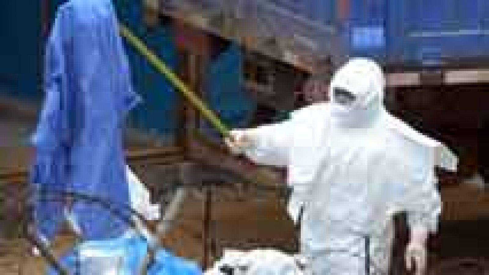 La OMS cree que para noviembre habrá una vacuna eficaz contra el virus del Ébola