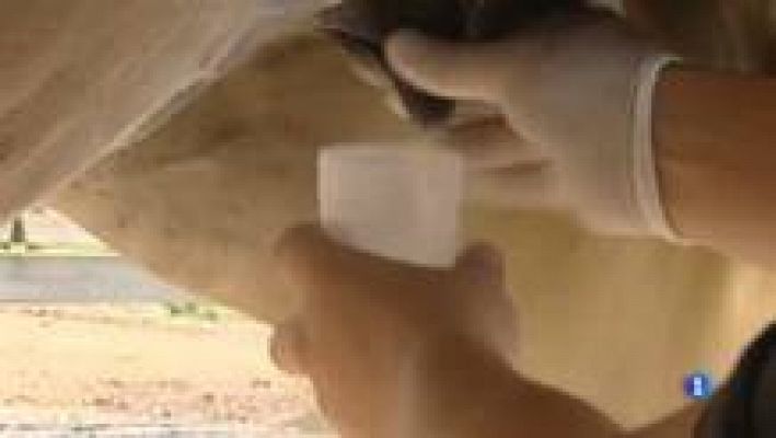 L'Informatiu - Les propietats terapèutiques de la llet d'euga