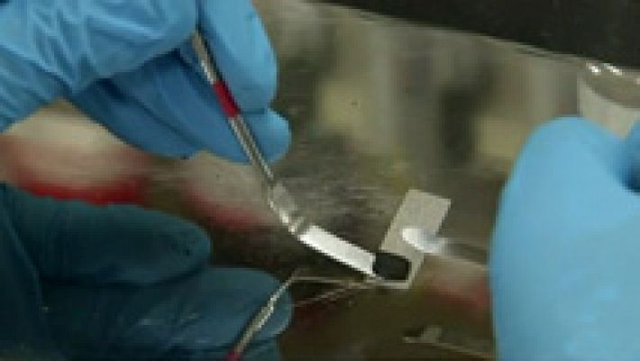 Informativo 24h - Científicos de la Universidad de Seúl descubren cómo reciclar colillas de cigarrillos para fabricar baterías