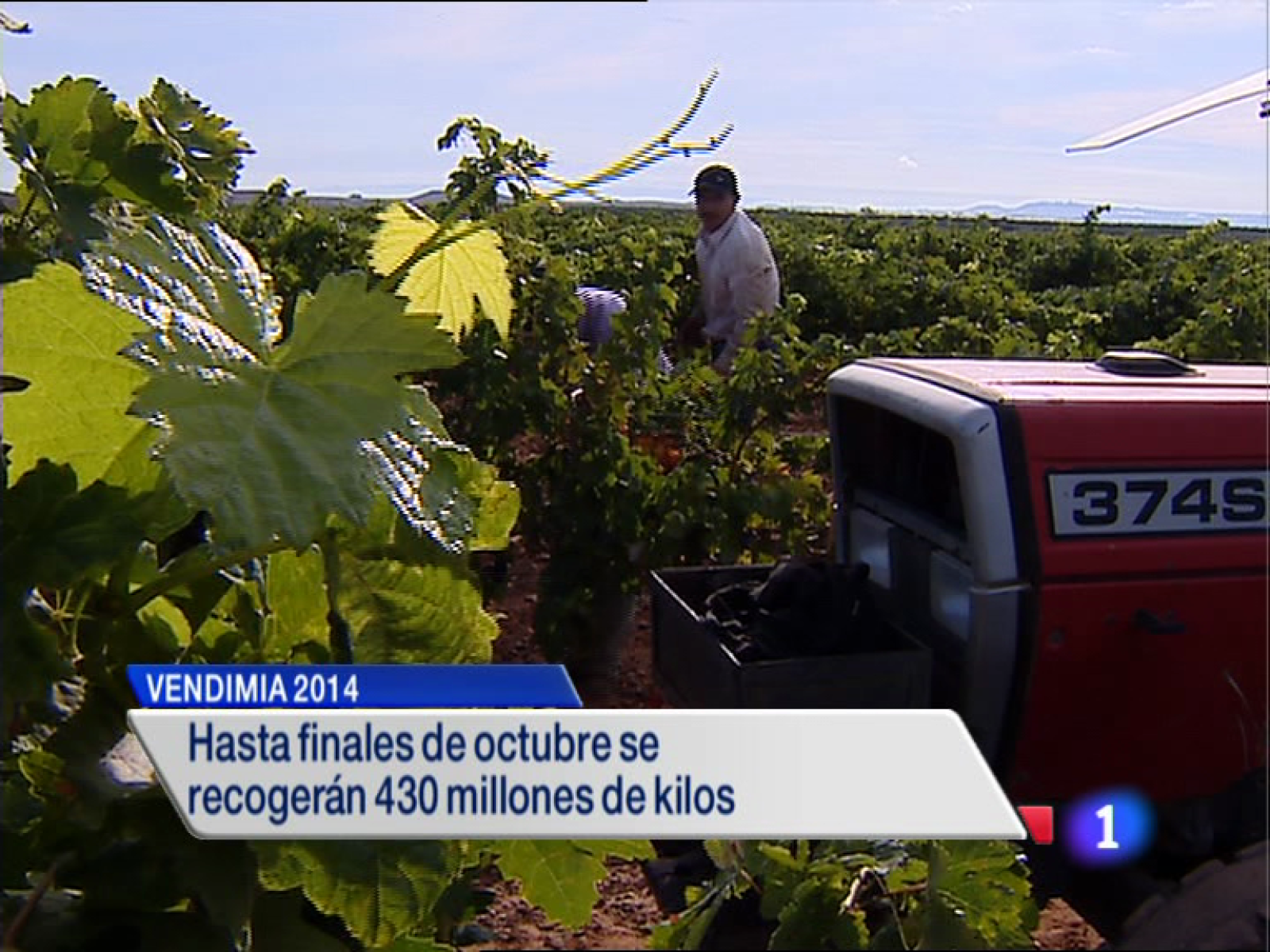 Informativo Telerioja 2 - 09/09/14 | Ver