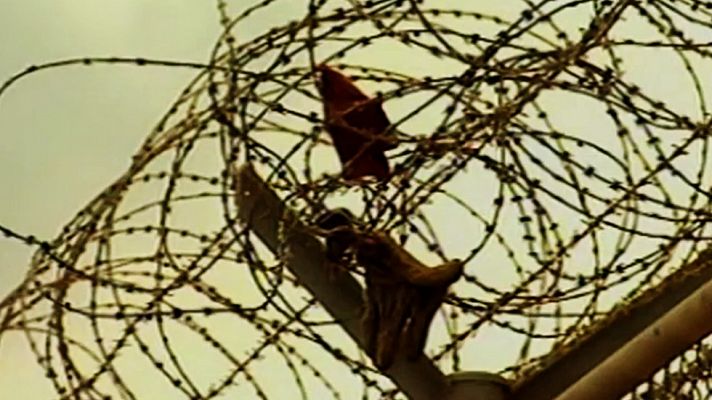 Voces contra la globalización - Voces contra la globalización - La estrategia de Simbad