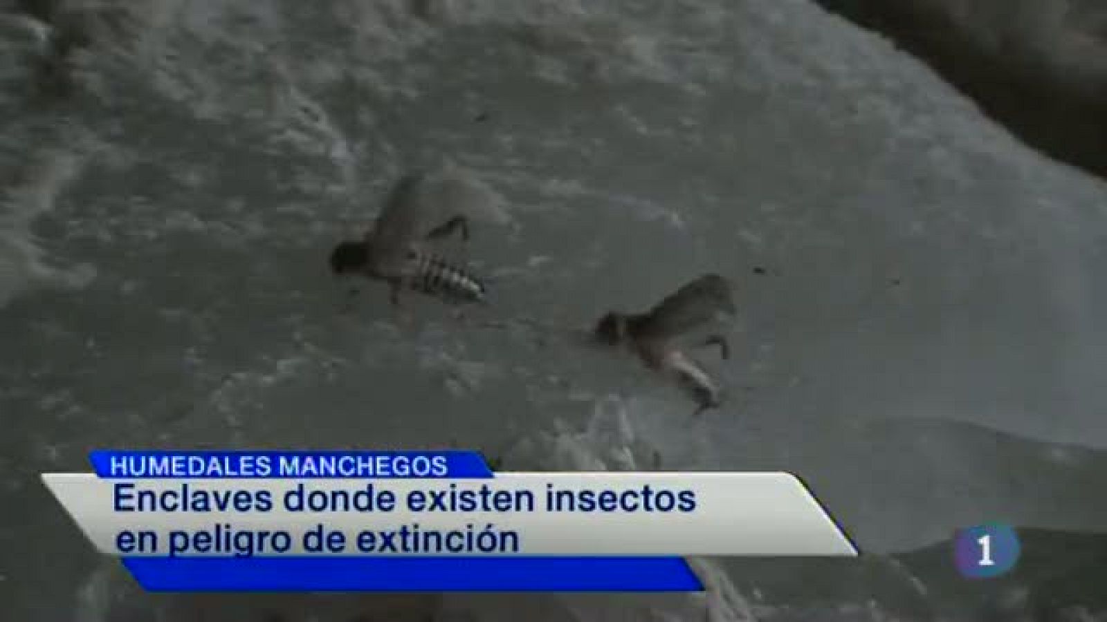 Noticias de Castilla La Mancha | Ver