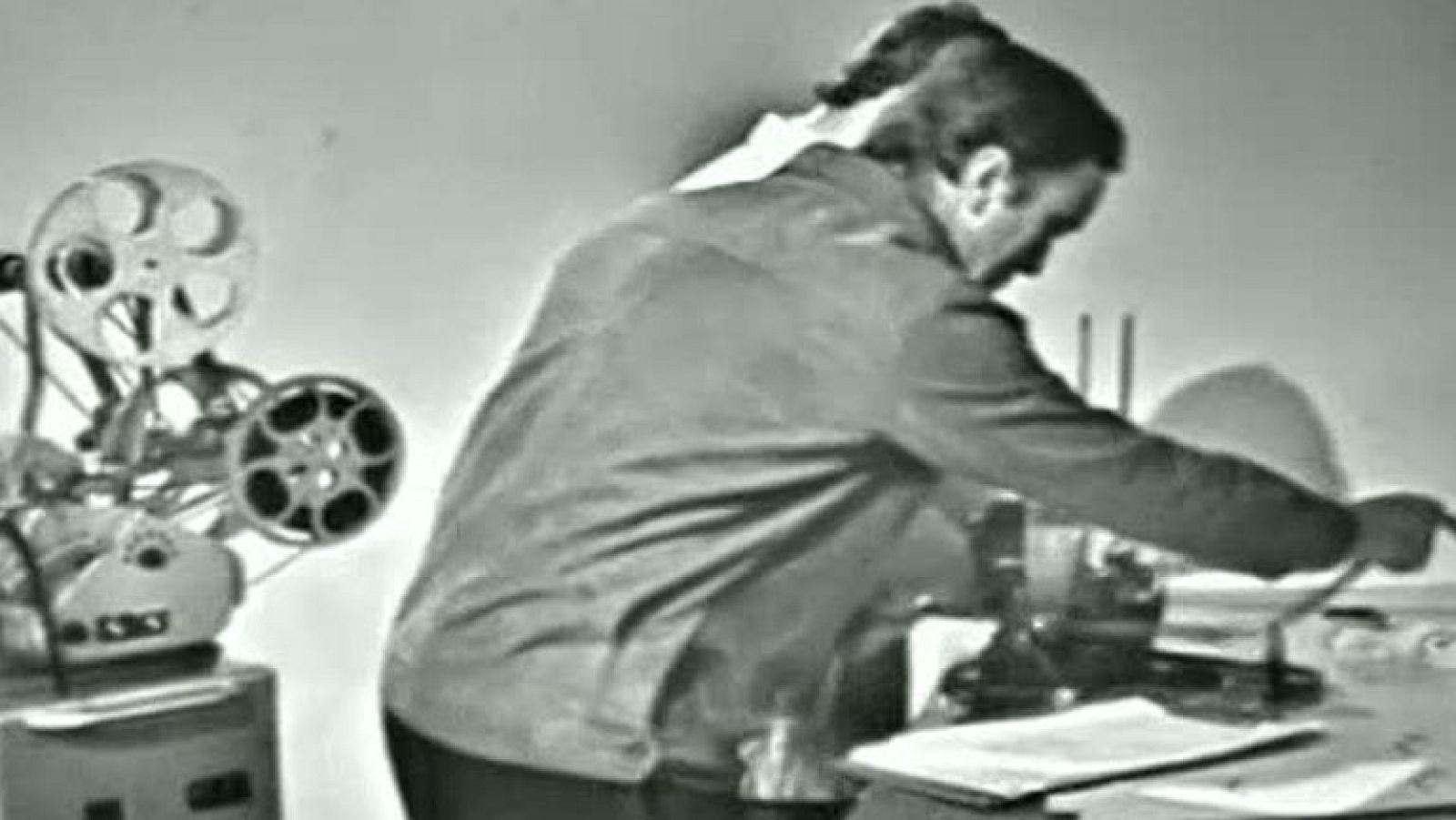 Fauna - La locomoción de los seres vivos