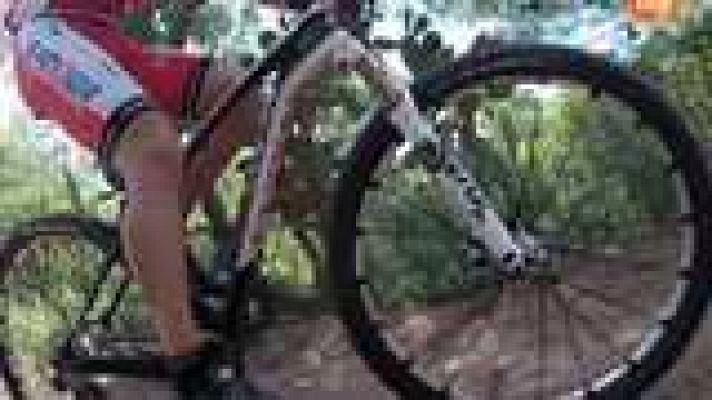 Evasión - T2 - Programa 15