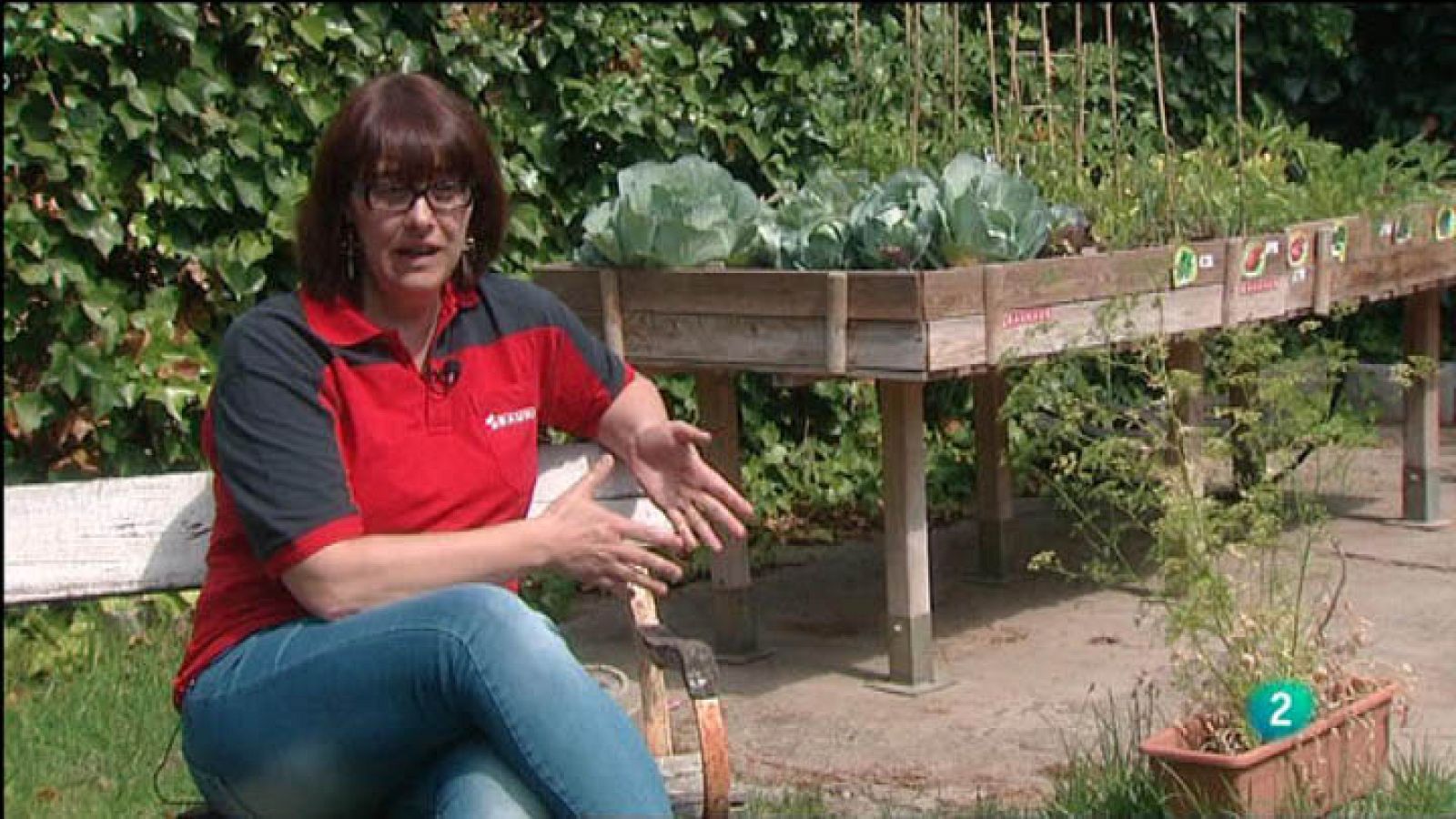 Para Todos La 2 - Vídeo - Los huertos urbanos