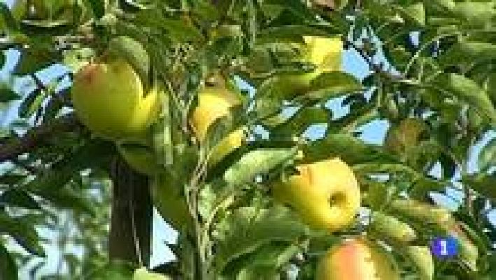 L'Informatiu - El temps - 15/09/14