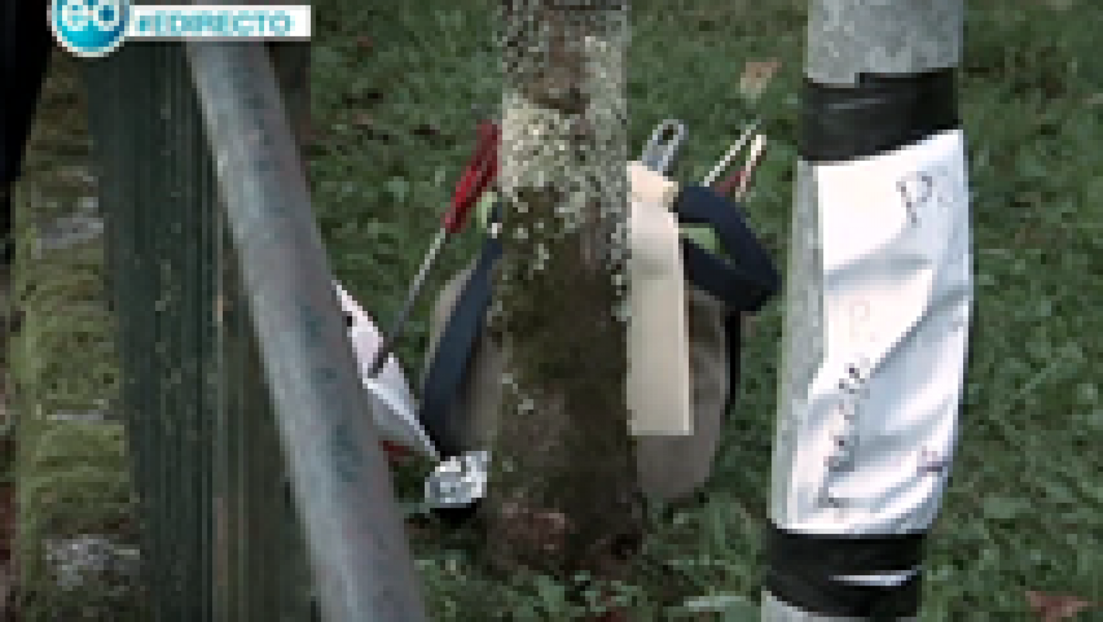 España Directo: Muere electrocutada una joven de 14 años al tocar una farola | RTVE Play