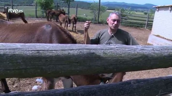 Repor - Salvando la especie - Joan Gassó