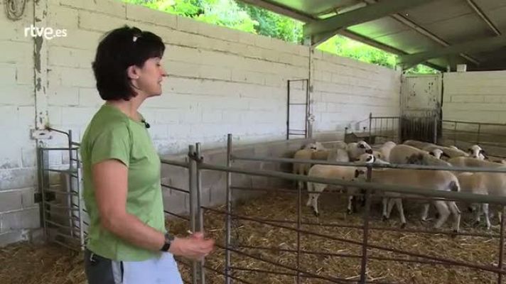 Repor - Declaraciones de Albina Sanz