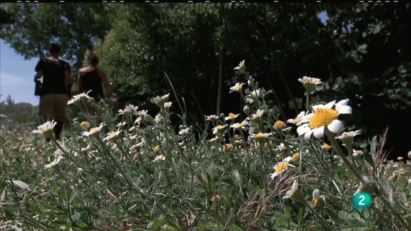 La Aventura del Saber. Asociación Garaldea