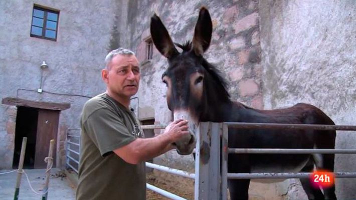 Repor - Salvando la especie