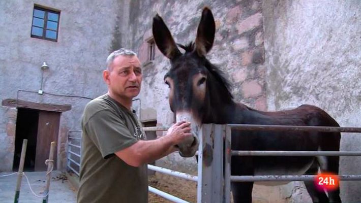 Repor - Salvando la especie