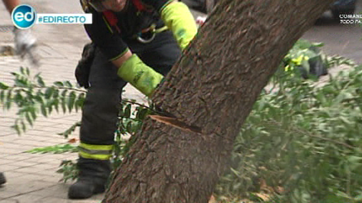 España Directo - Caen dos árboles en Madrid en el mismo día