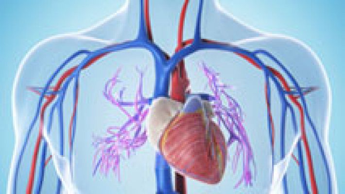 La mañana - Arterias limpias y más jóvenes