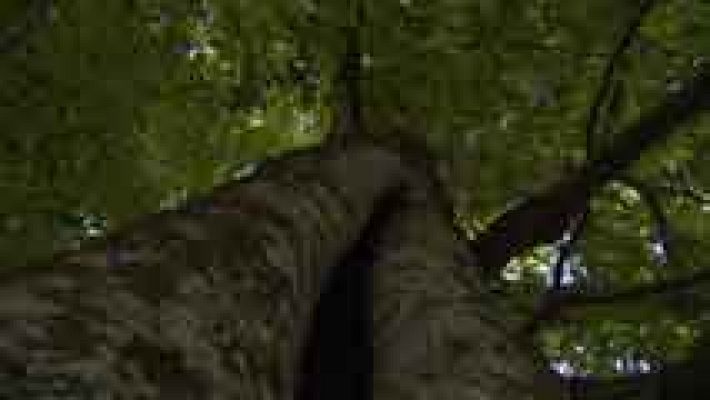 Informativo de Madrid - Informativo de Madrid 2 - 19/09/14