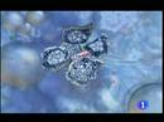  - El autor de Los Sims presenta Spore