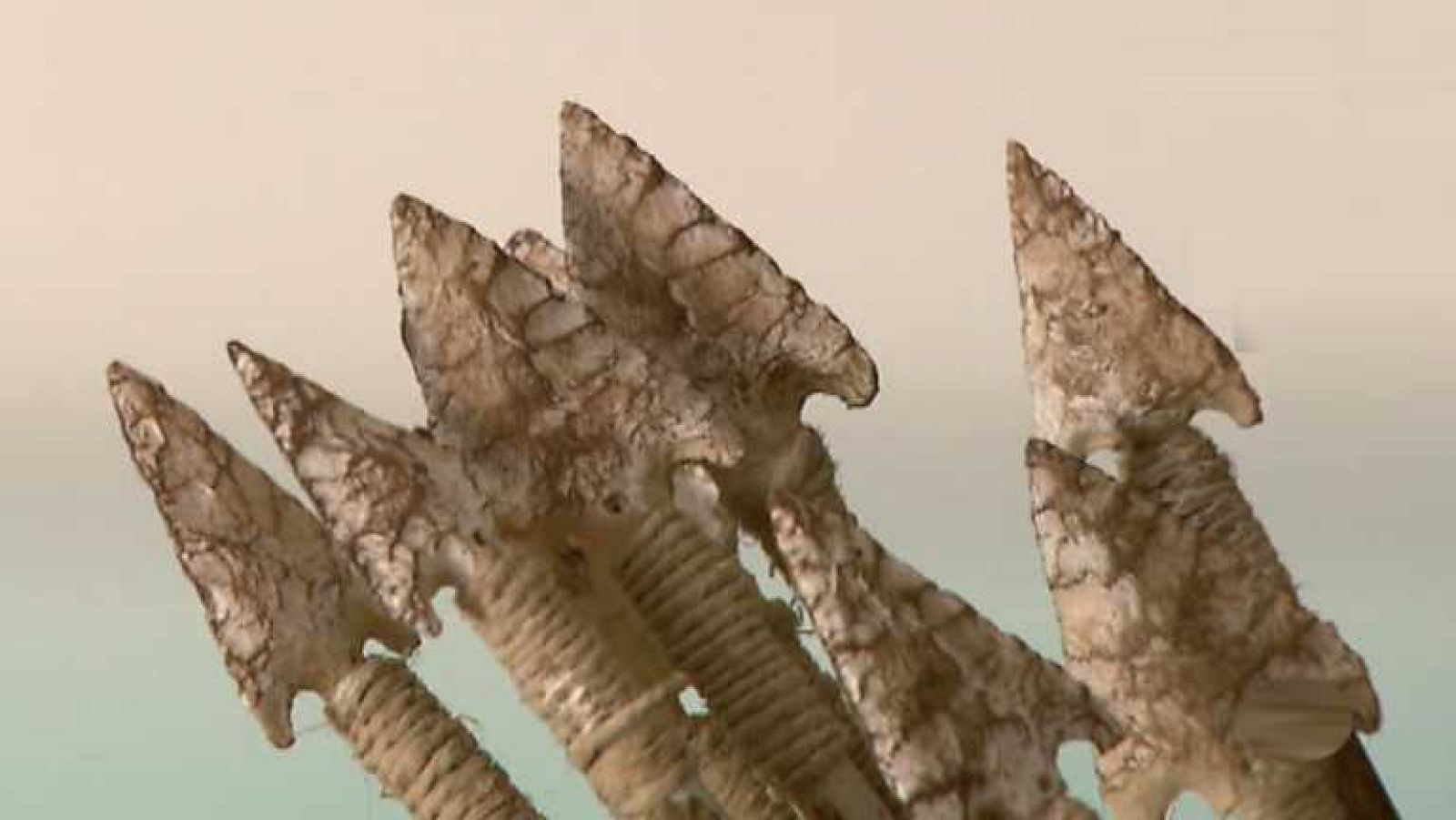 La aventura del saber - 22/09/14 - Ver ahora