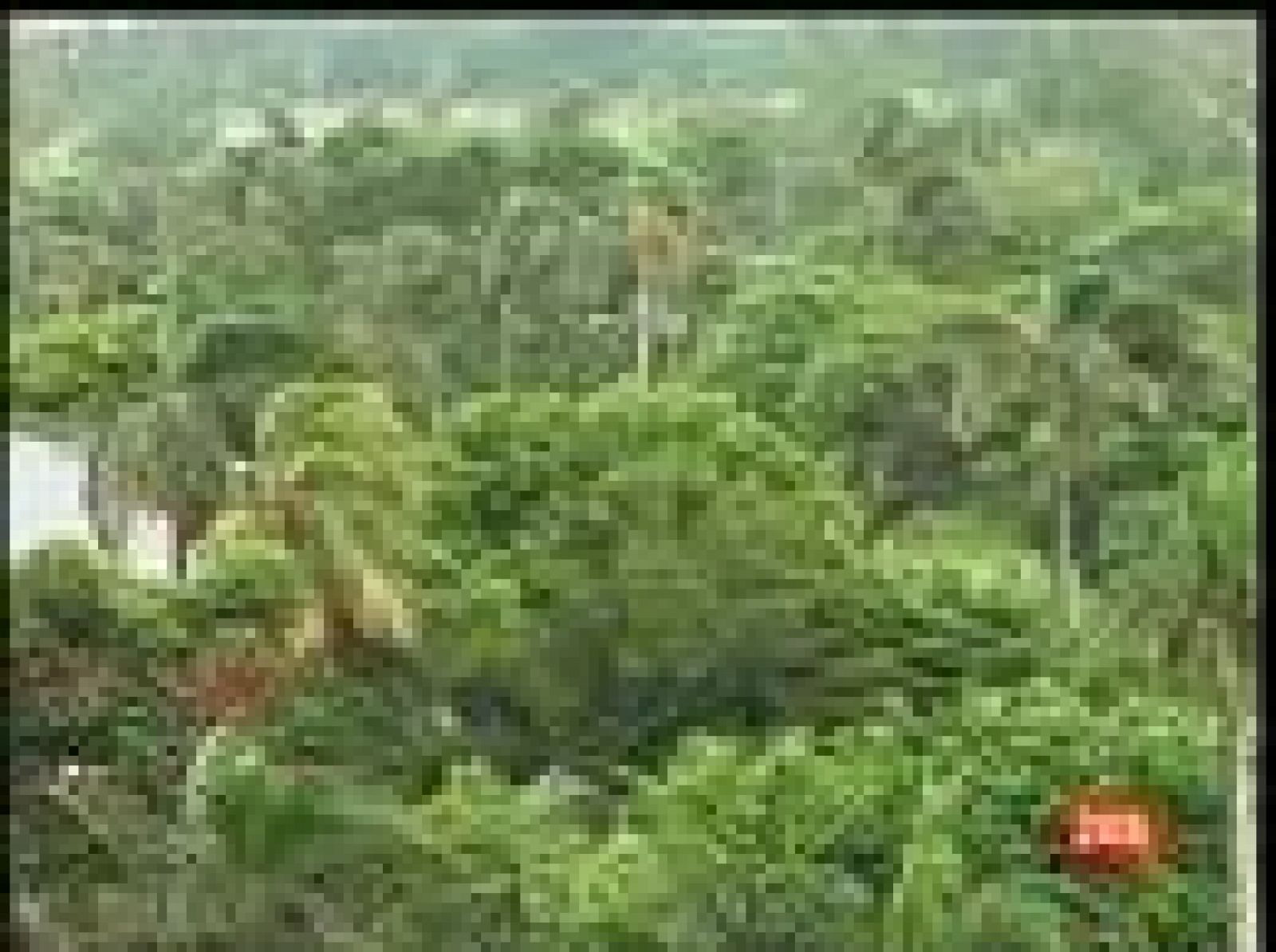 La tormenta tropical Hanna causa diez muertos en Haití | Ver