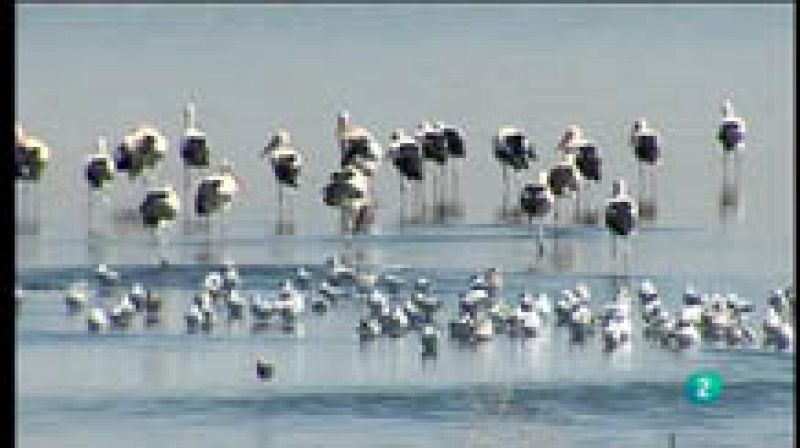 Para Todos La 2 - Vídeo - Curiosidades de las lagunas del Alcazár de San Juan