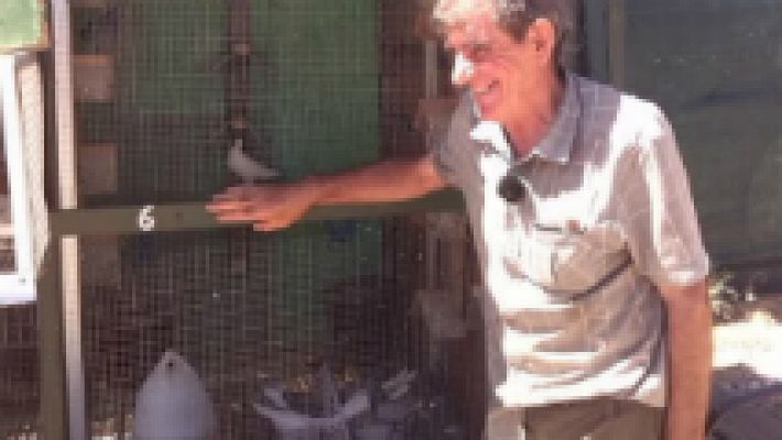 Aquí la Tierra - El vuelo de las palomas mensajeras