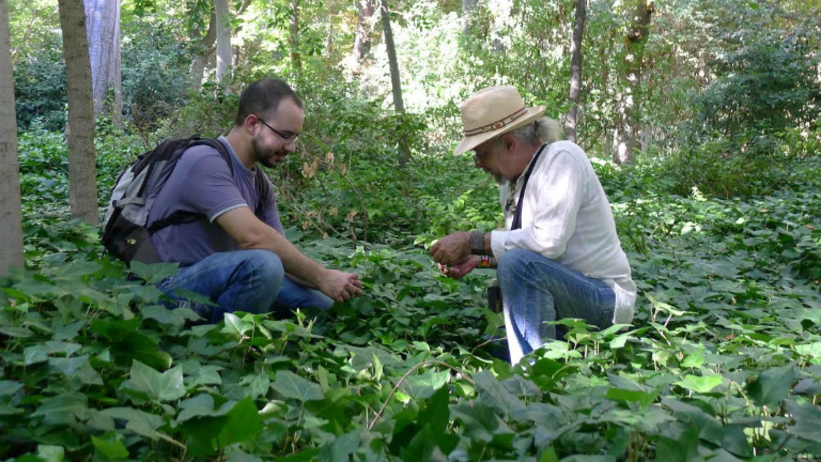 Sabiduría verde de padre a hijo