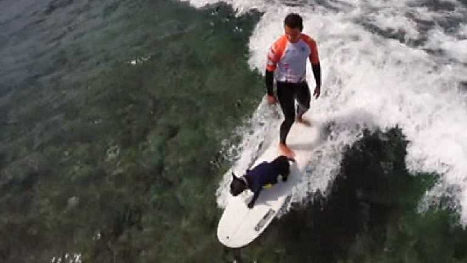 Viviendo el mar - Capítulo 1º - ver ahora