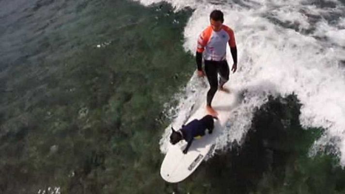 Viviendo el mar - Programa 1