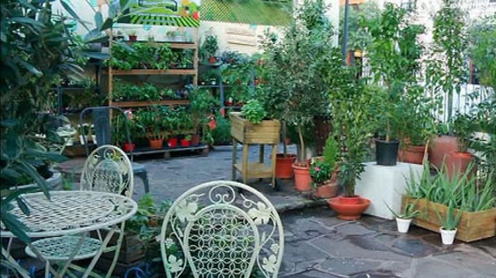 Aquí la Tierra - Un jardín escondido en mitad del asfalto