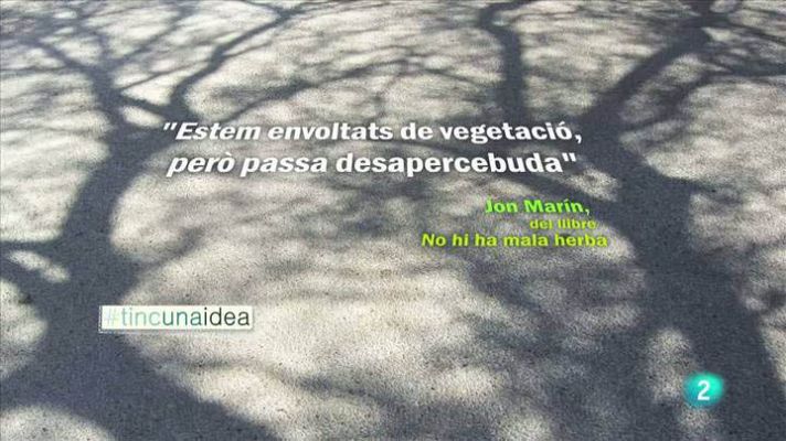 Tinc una idea - Jon Marín