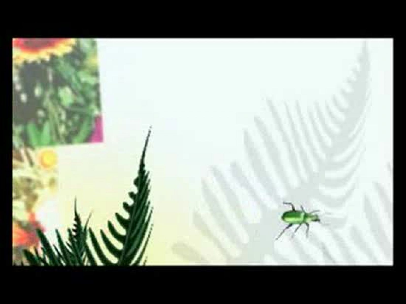 El escarabajo verde: Morir, naturalmente - Primera parte | RTVE Play