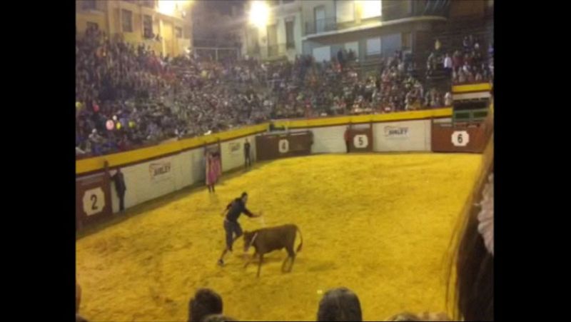 Un grupo de antitaurinos intentó impedir la becerrada en Algemesí