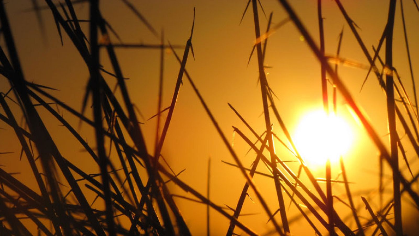 Muy nuboso en el sur y despejado en el norte, con ascenso térmico