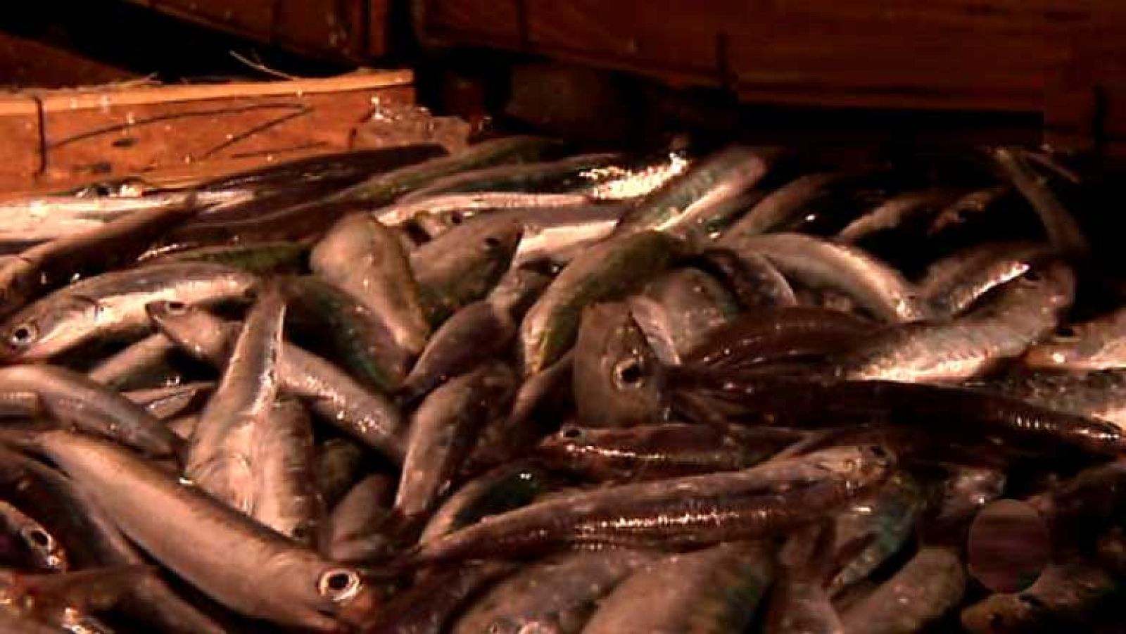 Agrosfera - 27/09/14 - Ver ahora