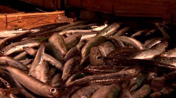 Agrosfera - Agrosfera - 27/09/14