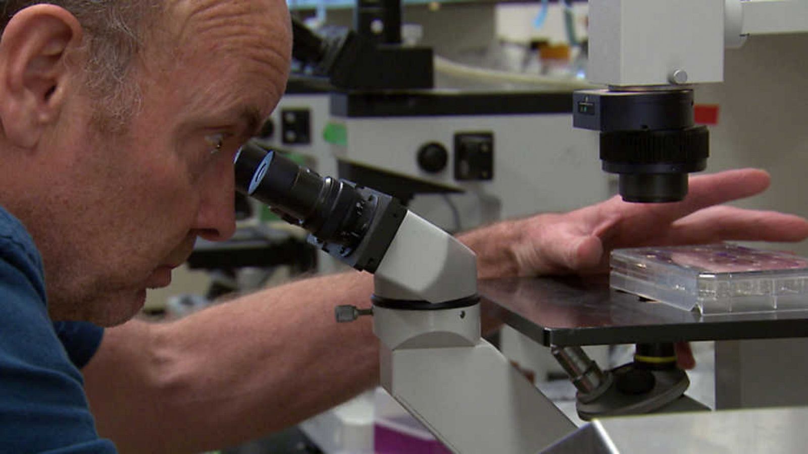 La noche temática - Descifrar nuestro código genético - Ver ahora