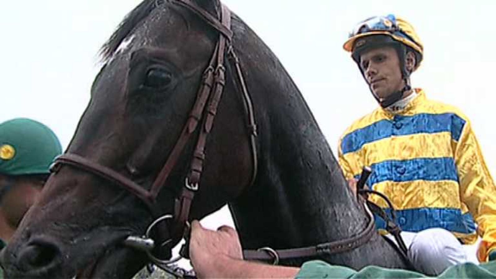 Turf - 29/09/14 - Ver ahora