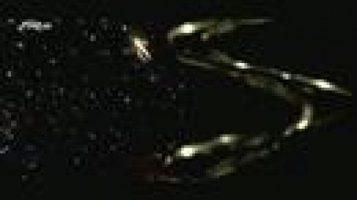 Atención obras - Último videoclip de la violinista balear Lina Tur Bonet