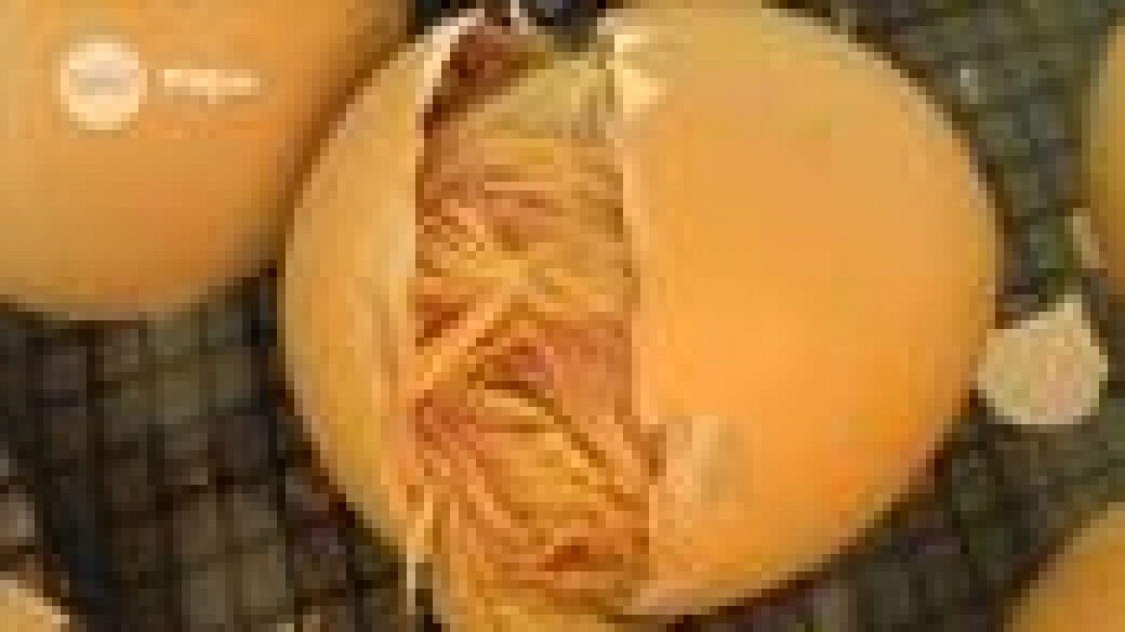 Tres14 - ¿El huevo o la gallina?